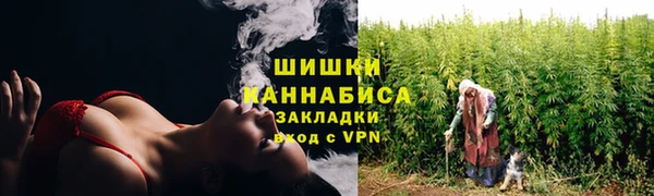 крисы Тайга