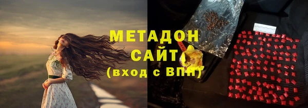 крисы Тайга