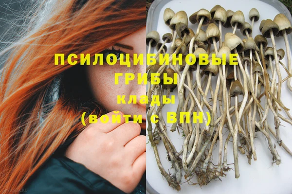винт Тихвин