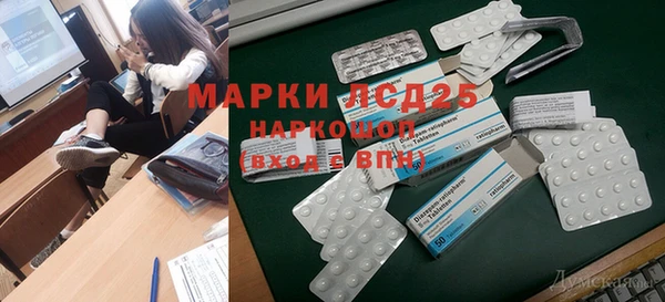 крисы Тайга