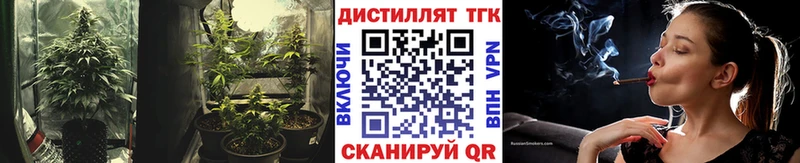 Купить где  Гремячинск  ТГК гашишное масло 